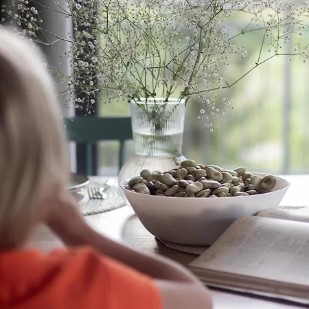 Ostoya Skalanka Kdn Zwardoń