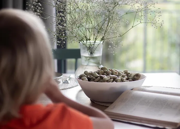 Ostoya Skalanka Kdn Zwardoń